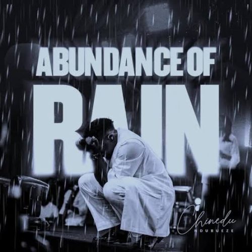 Chinedu Ndubueze – Abundance Of Rain