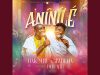 Timothy Gbadeyan – Aninile